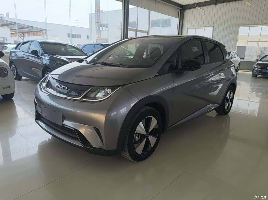 BYD Dolphin, 2023 2