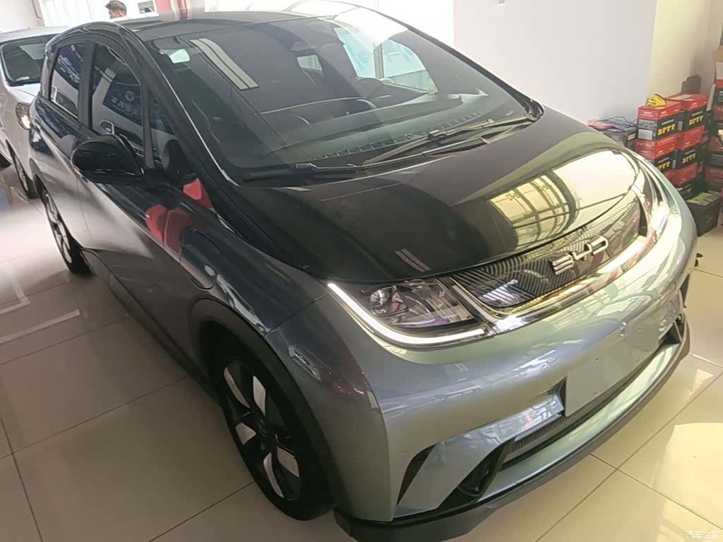 BYD Dolphin, 2023 4