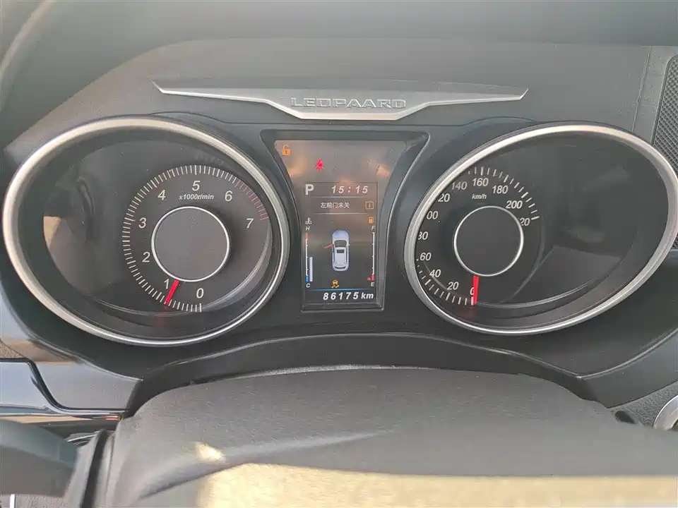 Leopaard Cheetah CS10