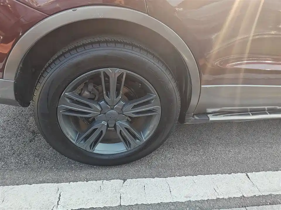 Leopaard Cheetah CS10