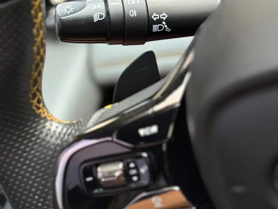 Trumpchi Shadow Leopard