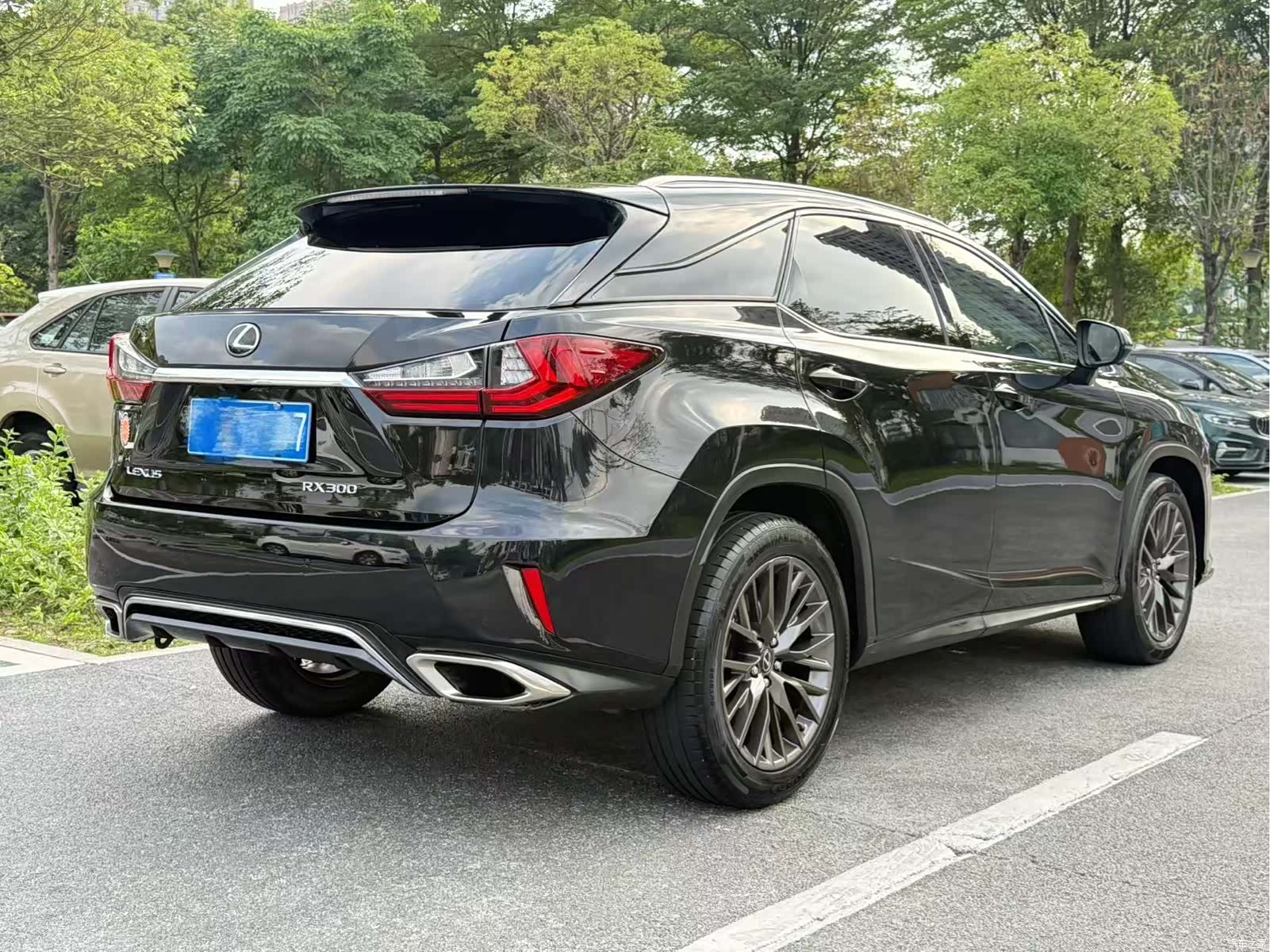 Lexus RX, 2018 17