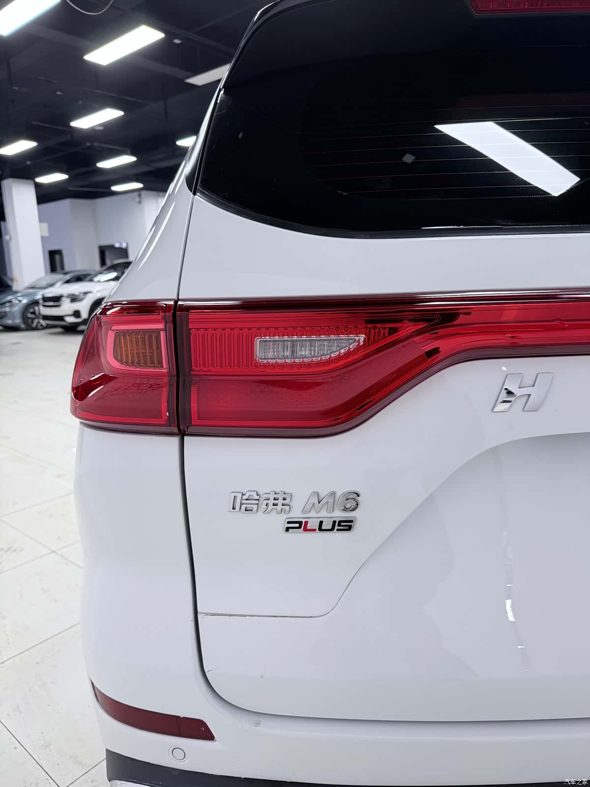 Haval M6, 2023 8