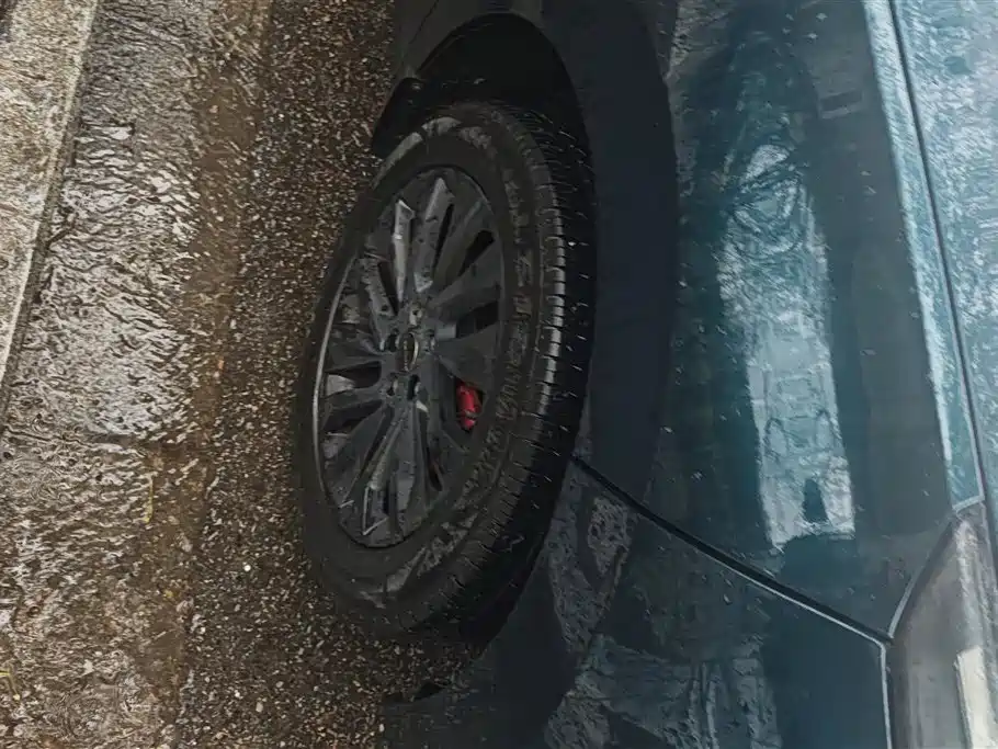 Forthing Popular T5 EVO