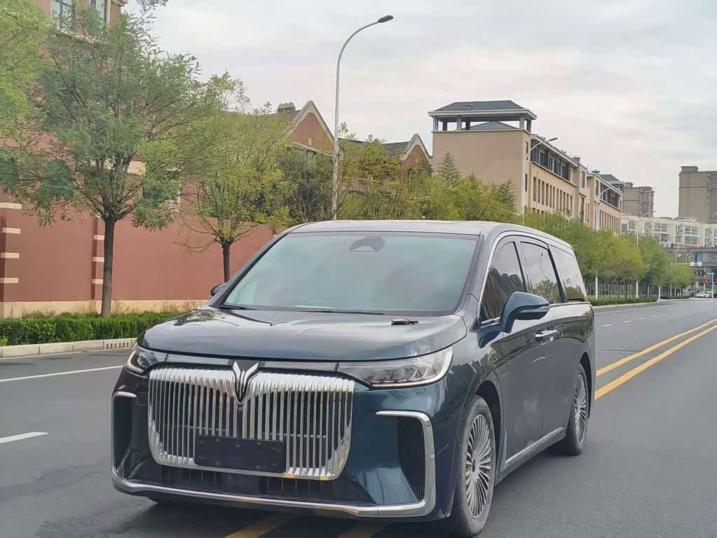 Voyah 2025 PHEV Luxury
