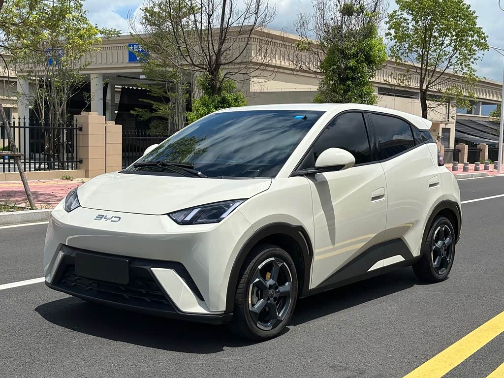 BYD Seagull