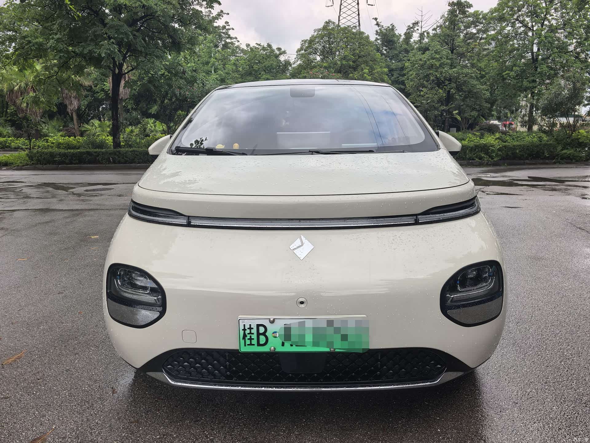 Wuling 460, 2024 2