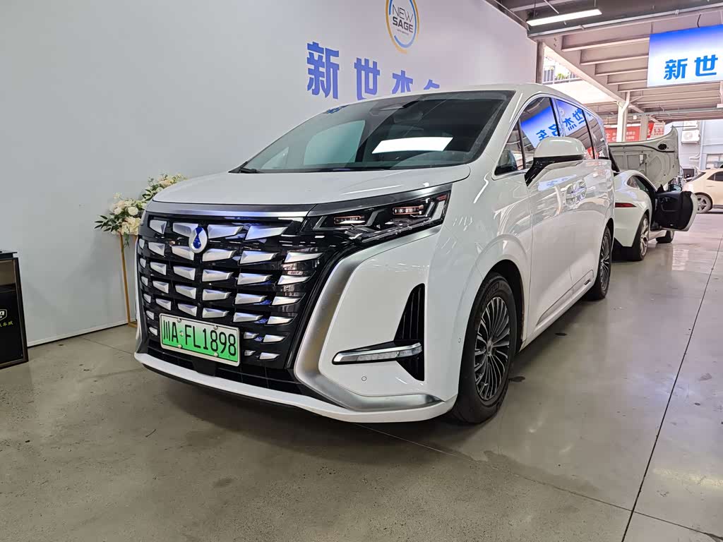 Denza D9
