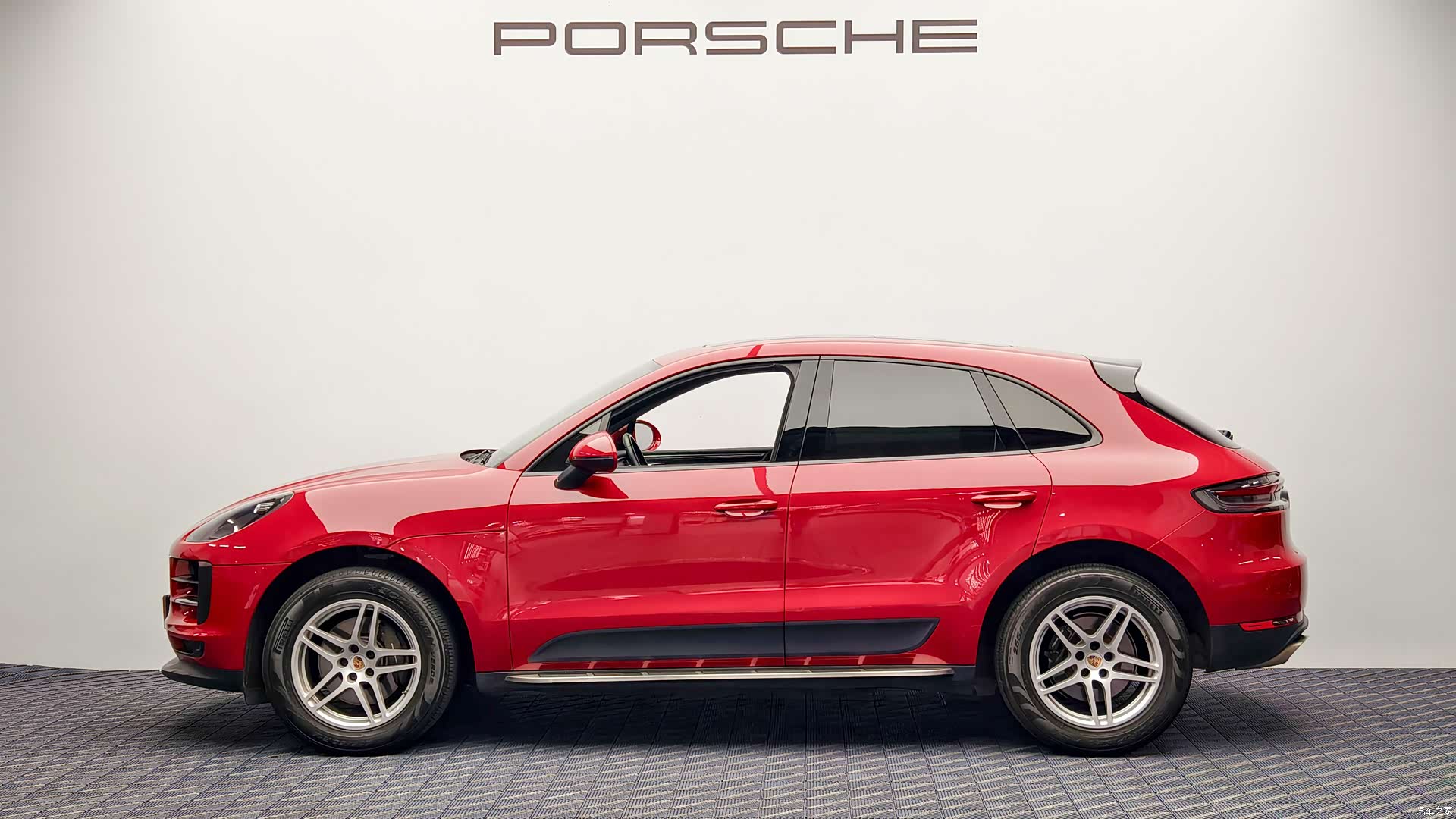 Macan Macan, 2019 7