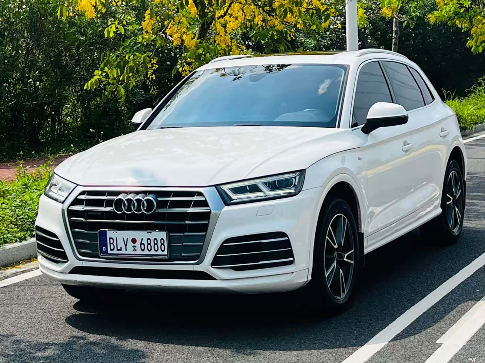Audi Q5L, 2019 1