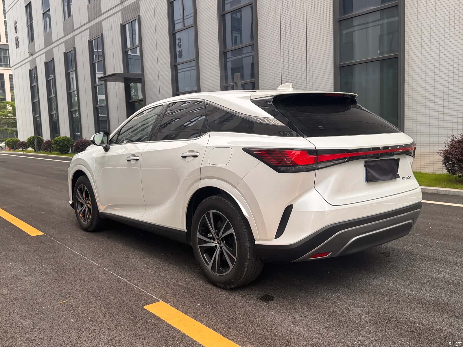 Lexus RX, 2025 все фото