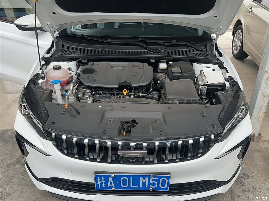 Geely Binray, 2024 18