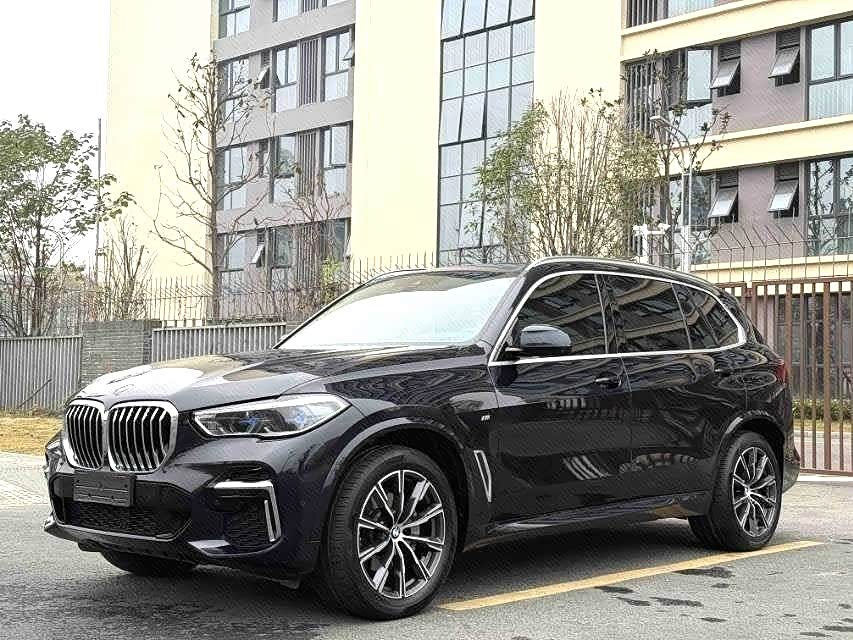 BMW X5 2022 xDrive 30Li Premium M Sport