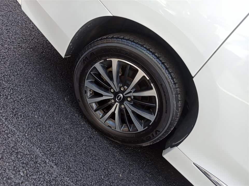 Trumpchi Trumpchi M8