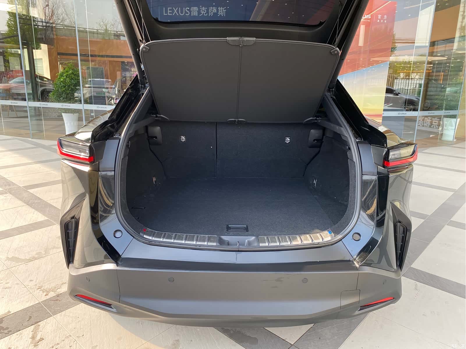 Lexus RZ, 2024 7