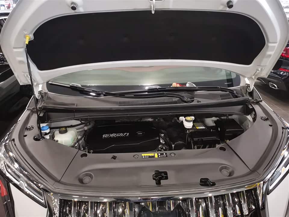 Trumpchi Trumpchi M8