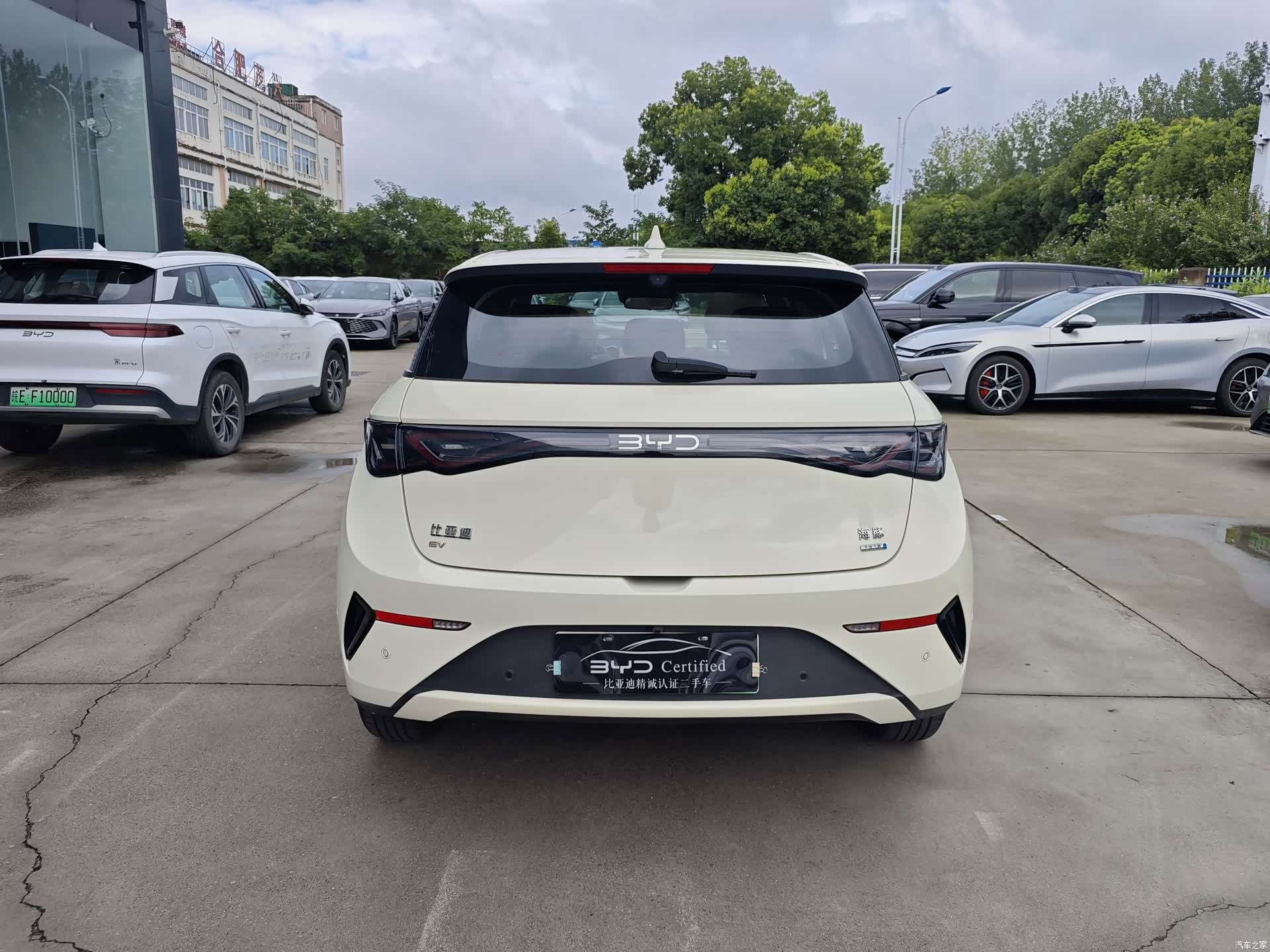 BYD Dolphin, 2025 все фото