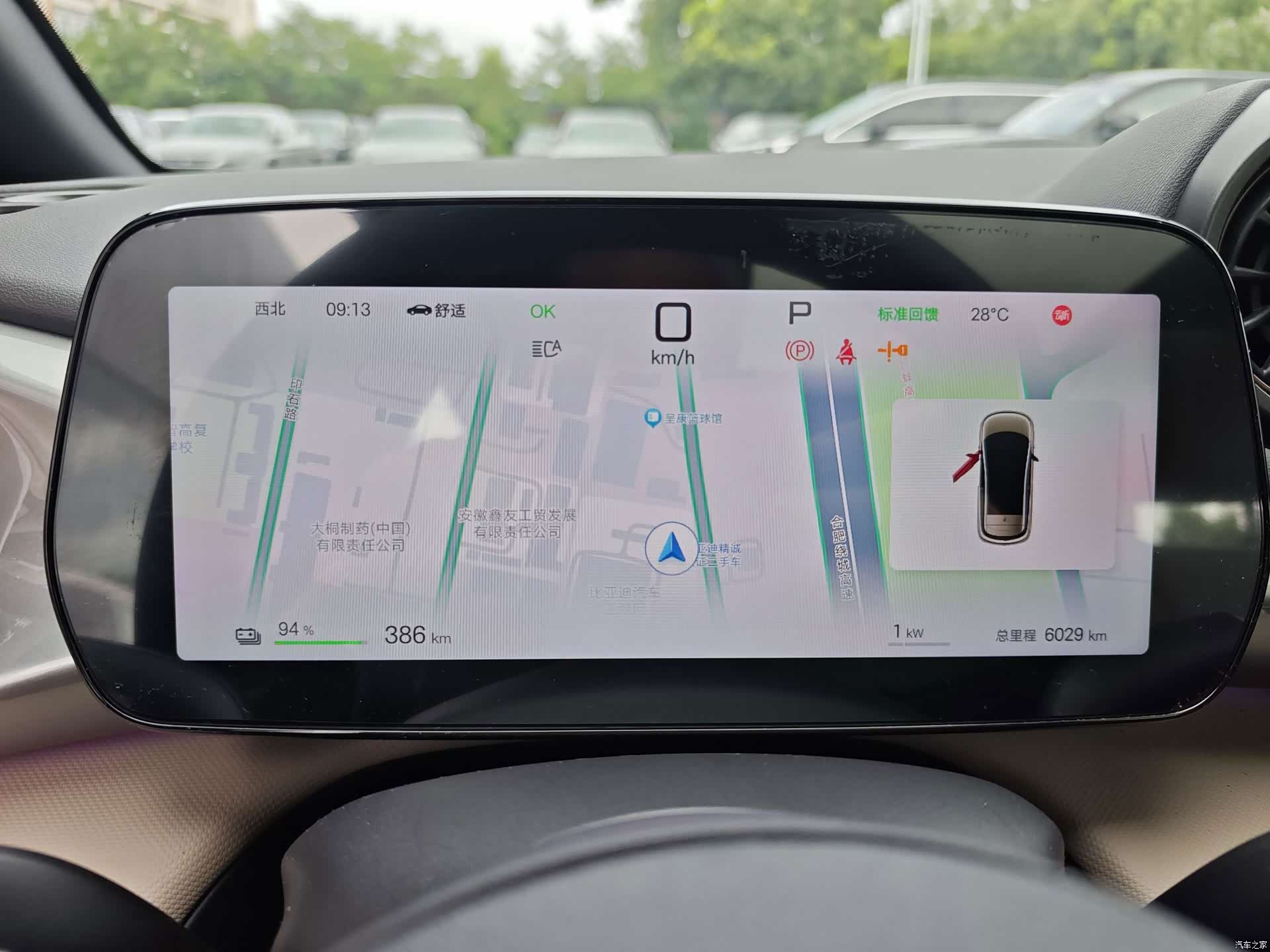 BYD Dolphin, 2025 11