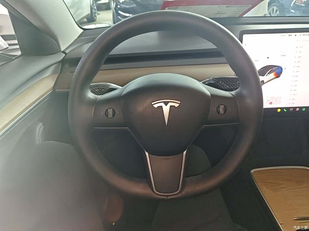 Tesla Model 3, 2021 11