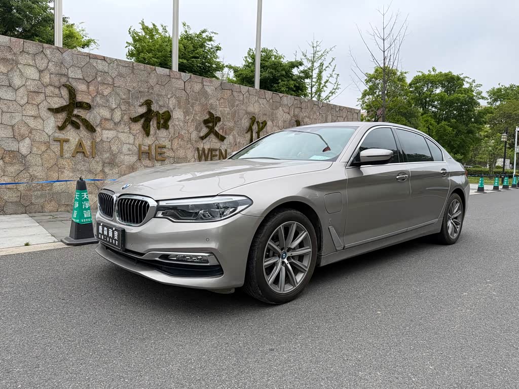 BMW 5 Series 5 2019 530Le Luxury