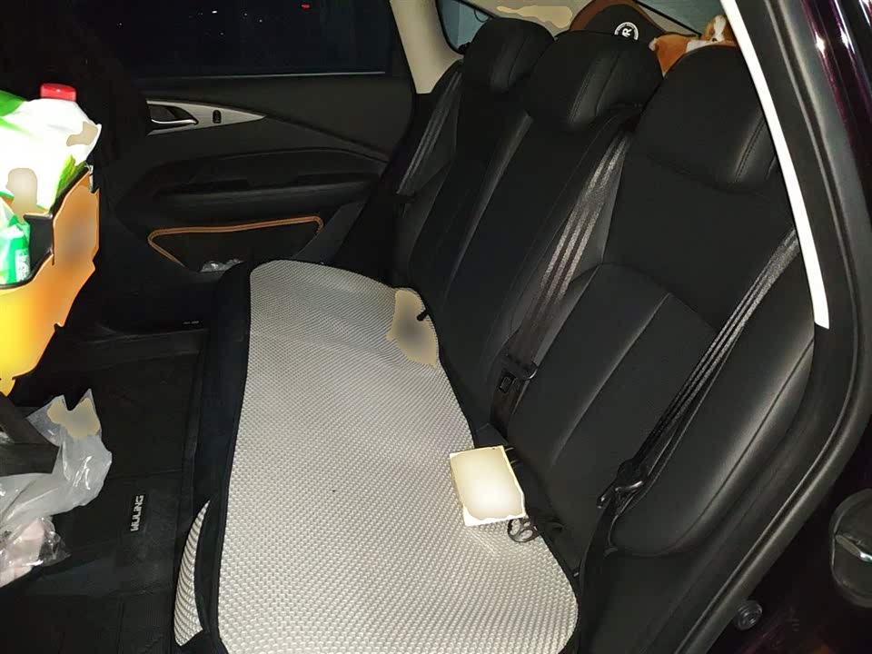 Wuling Wuling Starlight