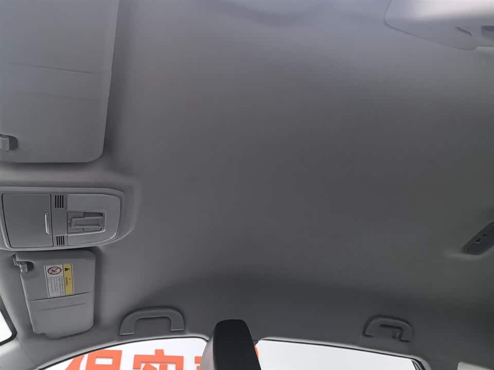 Leopaard Cheetah CS10