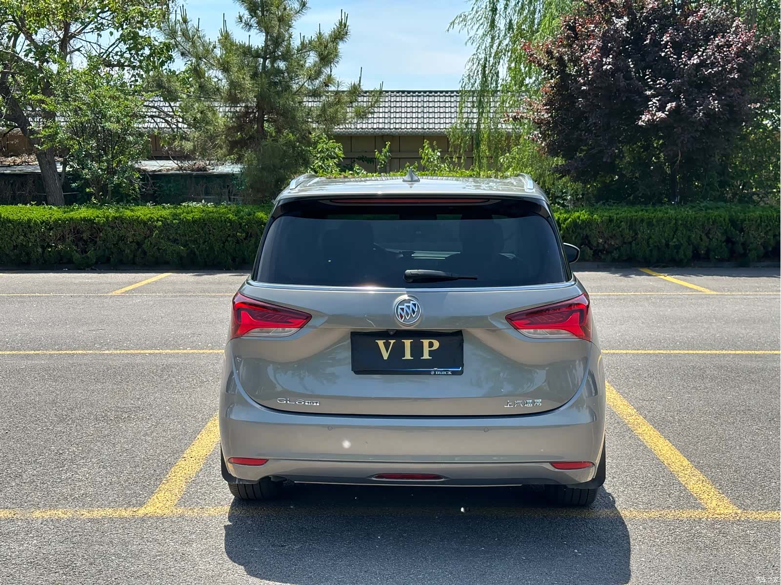 Buick GL6, 2019 4