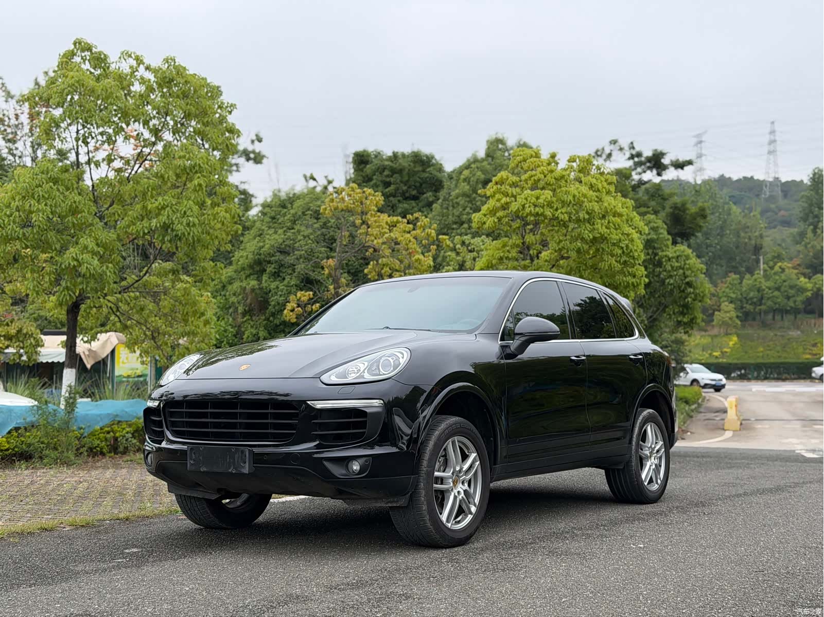 Cayenne Platinum, 2017 1