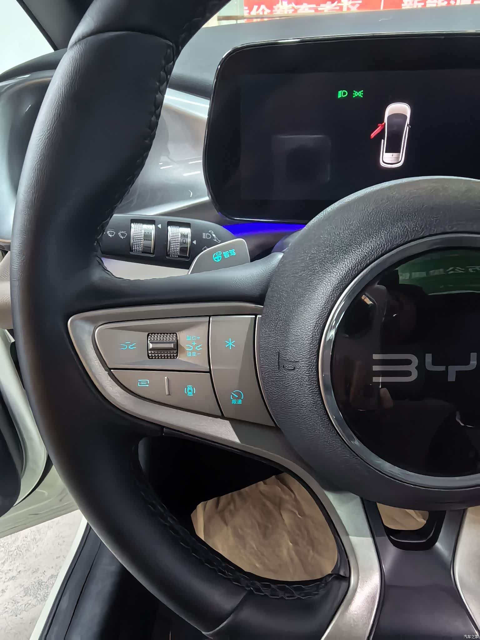 BYD Dolphin, 2025 10