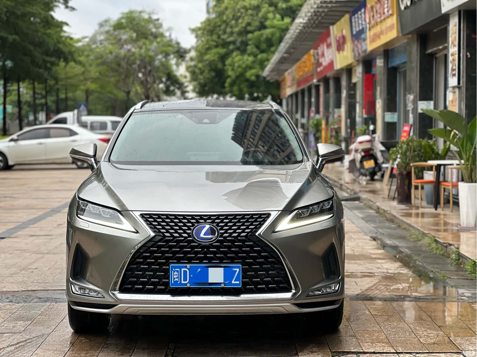 Lexus RX, 2019 2