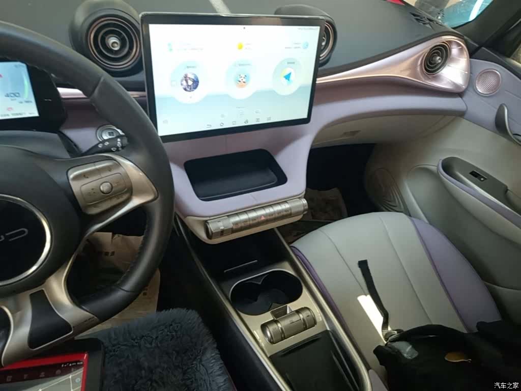 BYD Dolphin, 2022 13