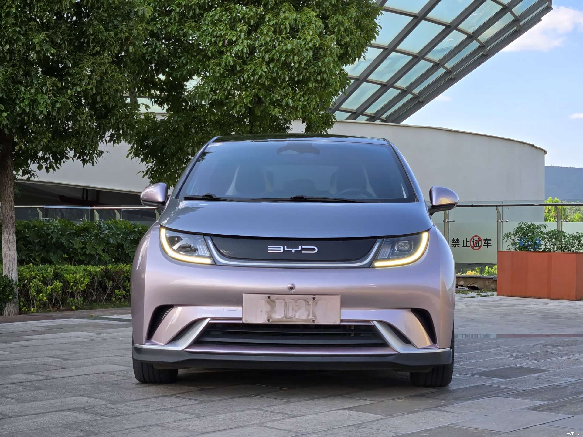 BYD Dolphin, 2022 все фото