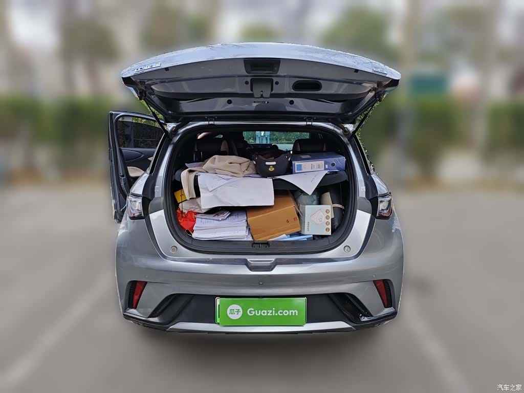 BYD Dolphin, 2023 10