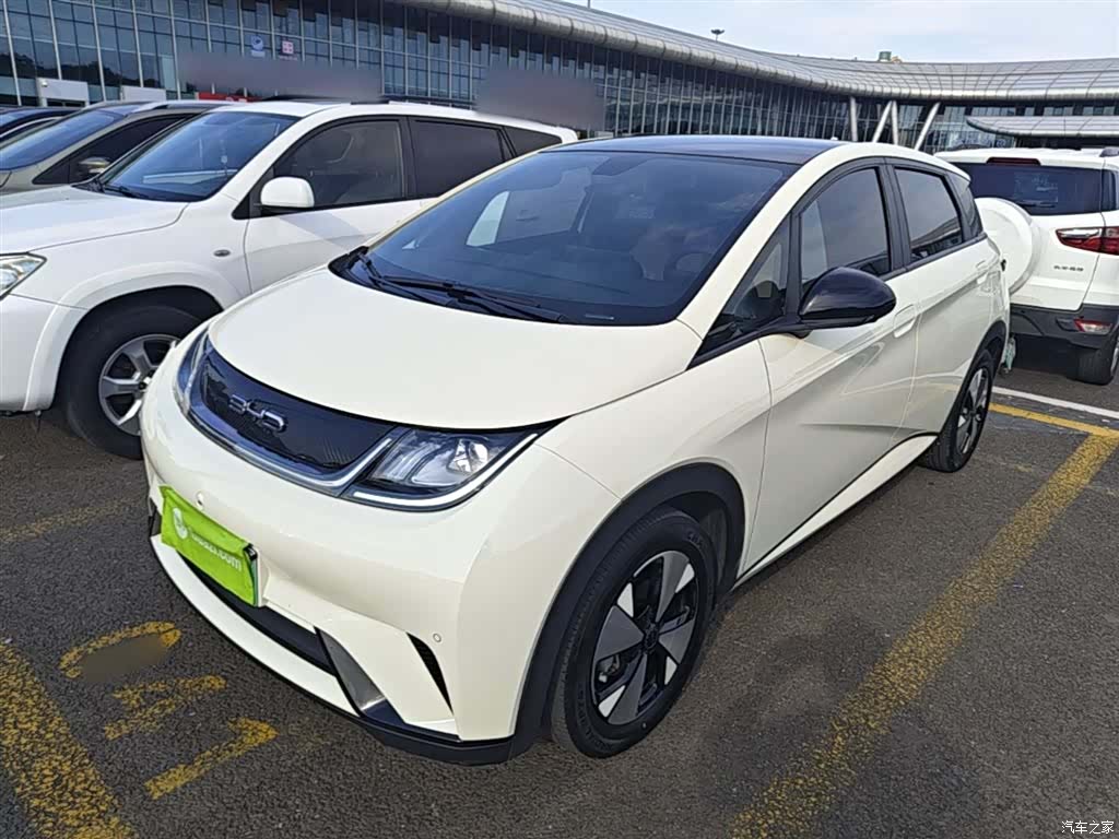 BYD Dolphin, 2024 2