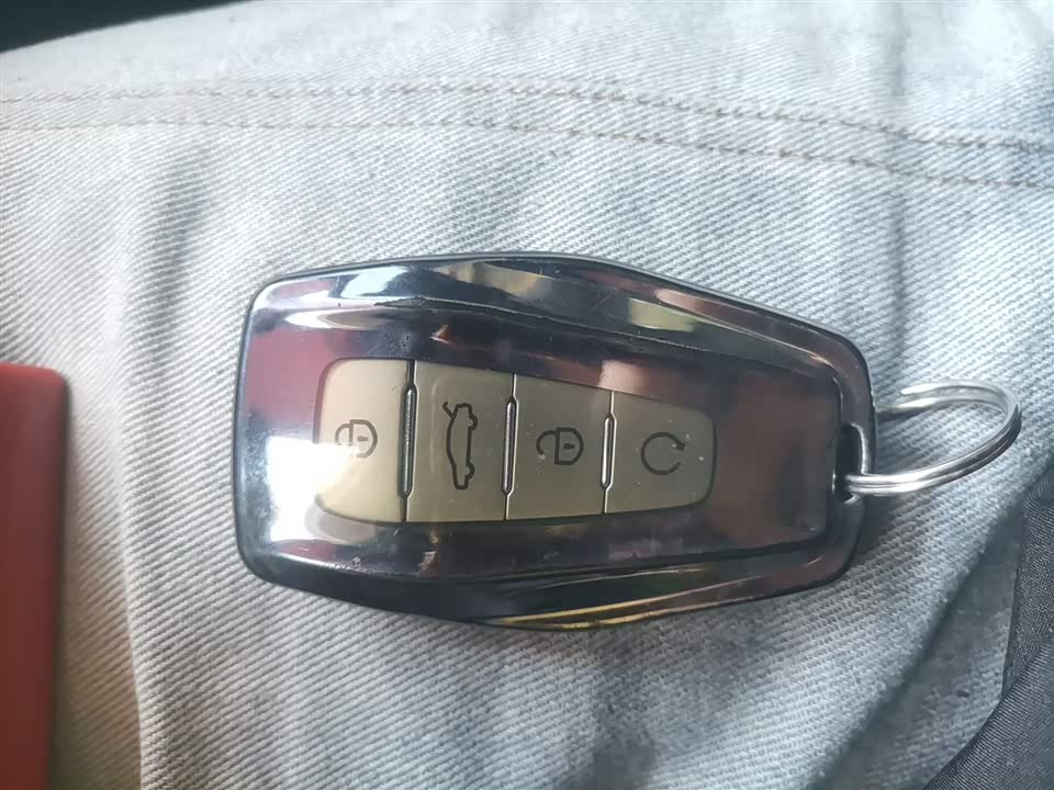 Geely Binrui