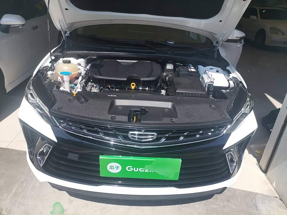 Geely Binrui