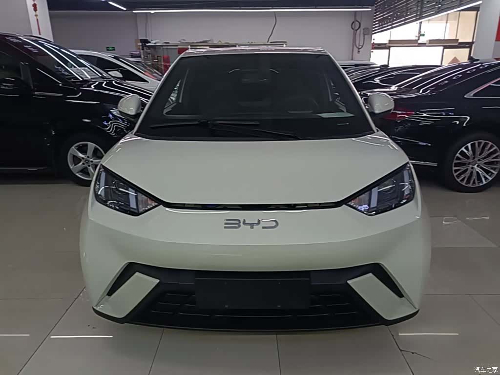 BYD Seagull, 2024 3