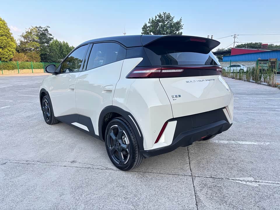 BYD Seagull