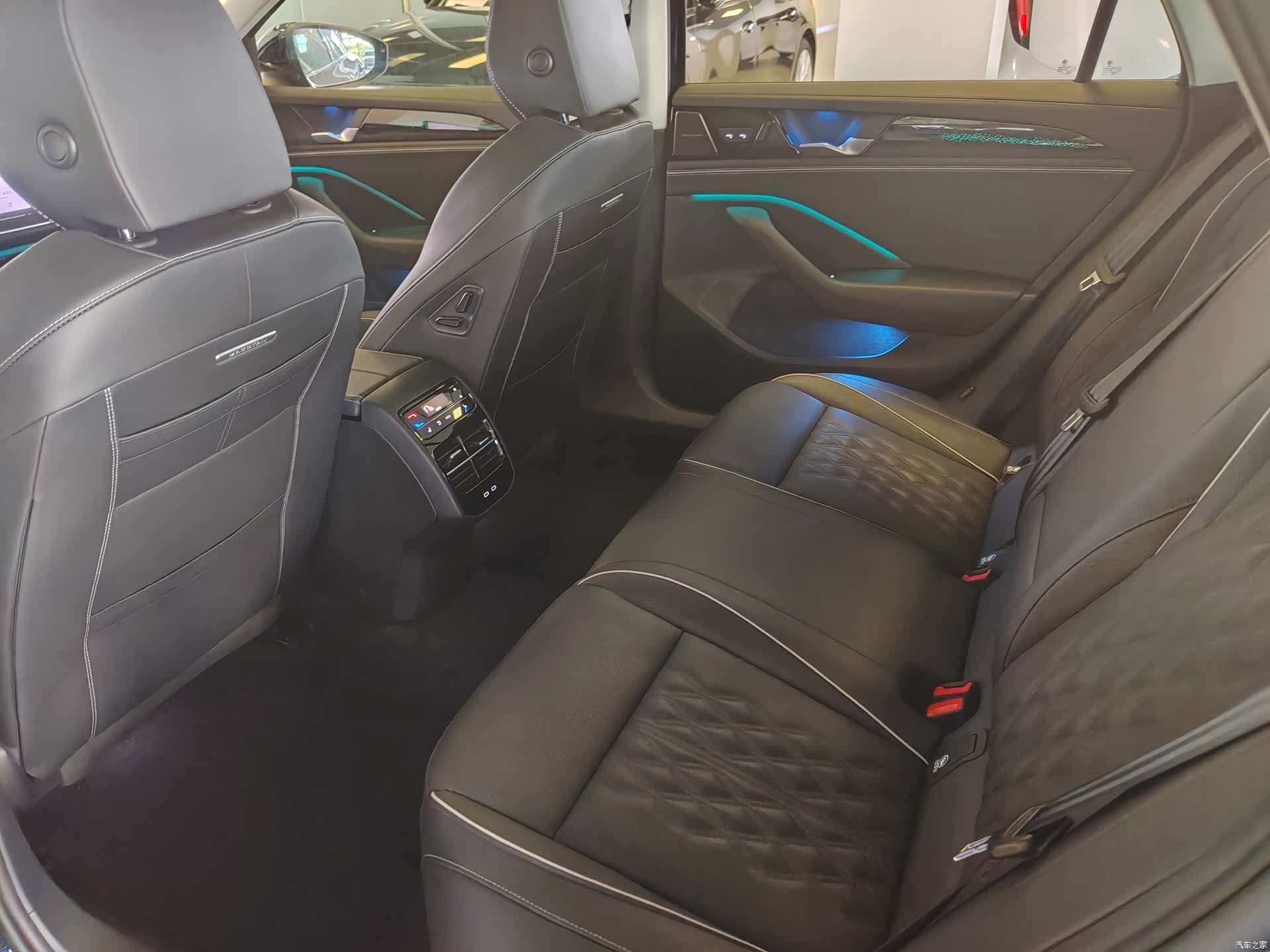 Volkswagen Magotan, 2024 23