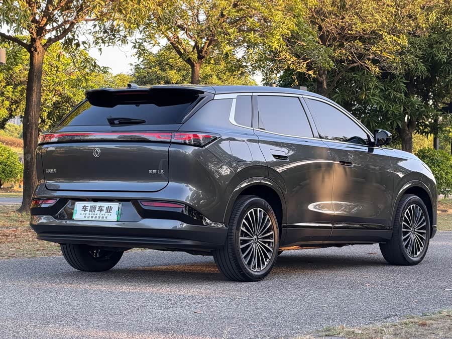 Dongfeng L8 2025, фото 8