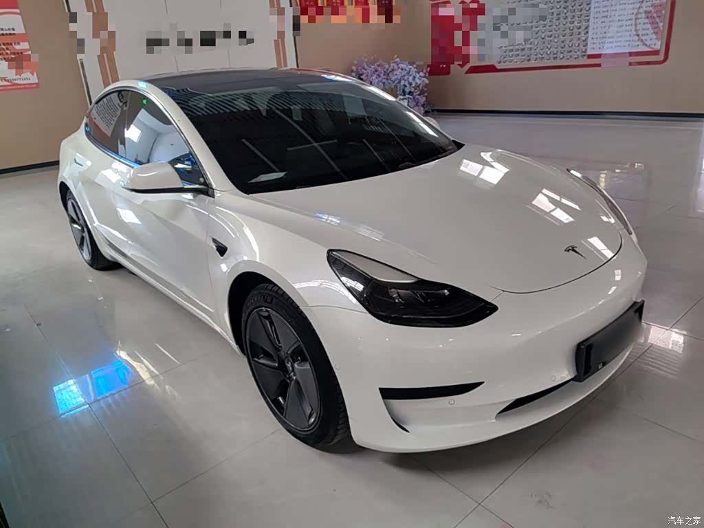 Tesla Model 3, 2021 4