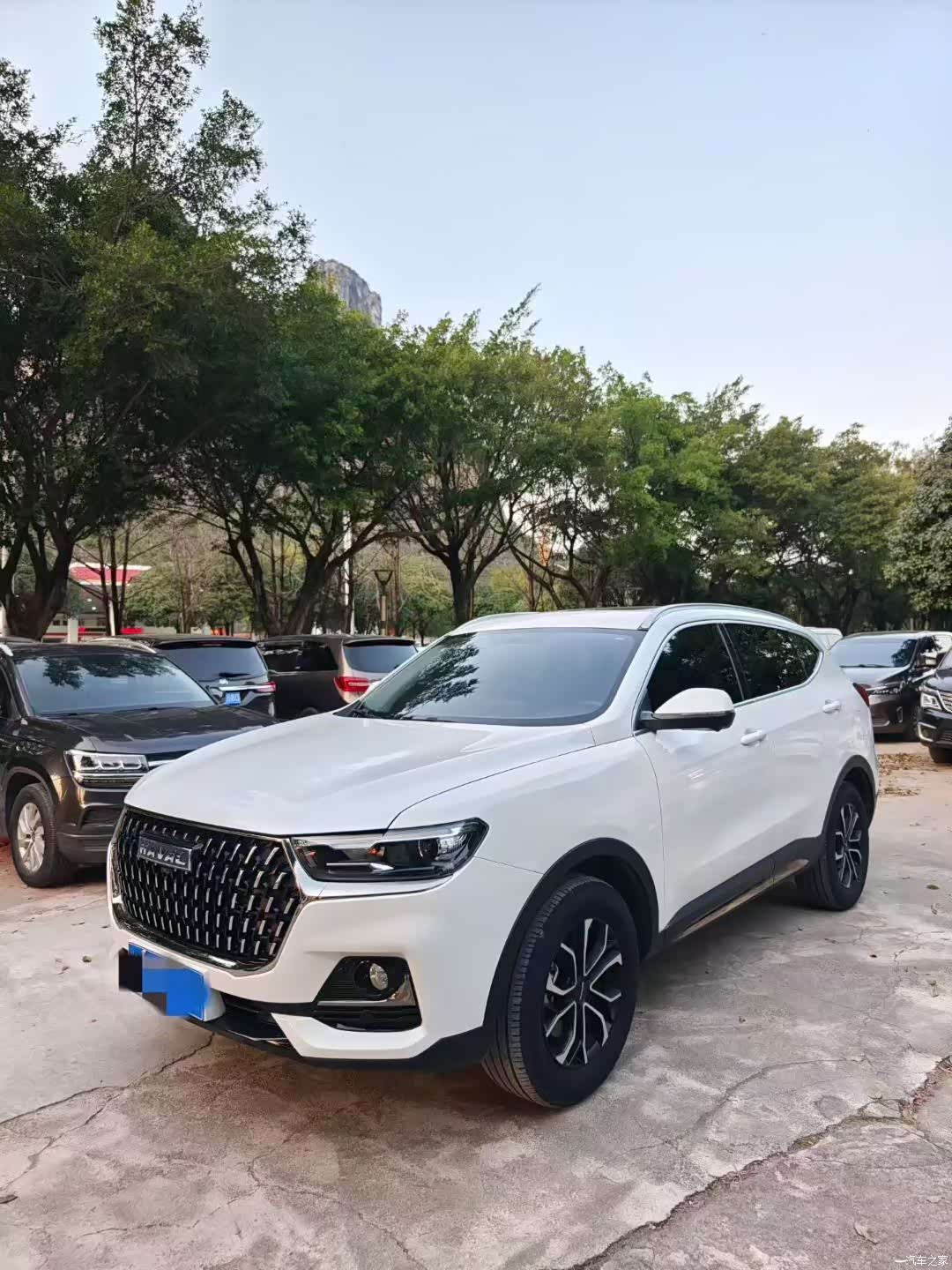 Haval H6, 2024 1