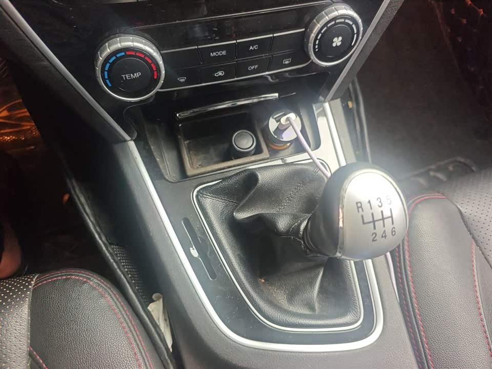 Leopaard Cheetah CS10