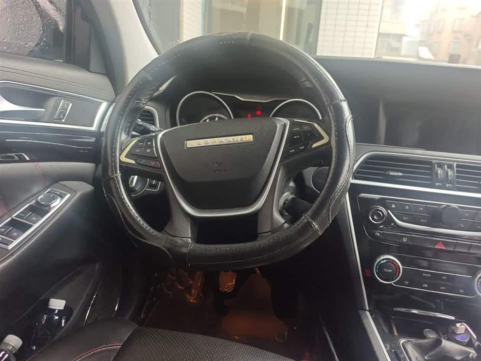 Leopaard Cheetah CS10