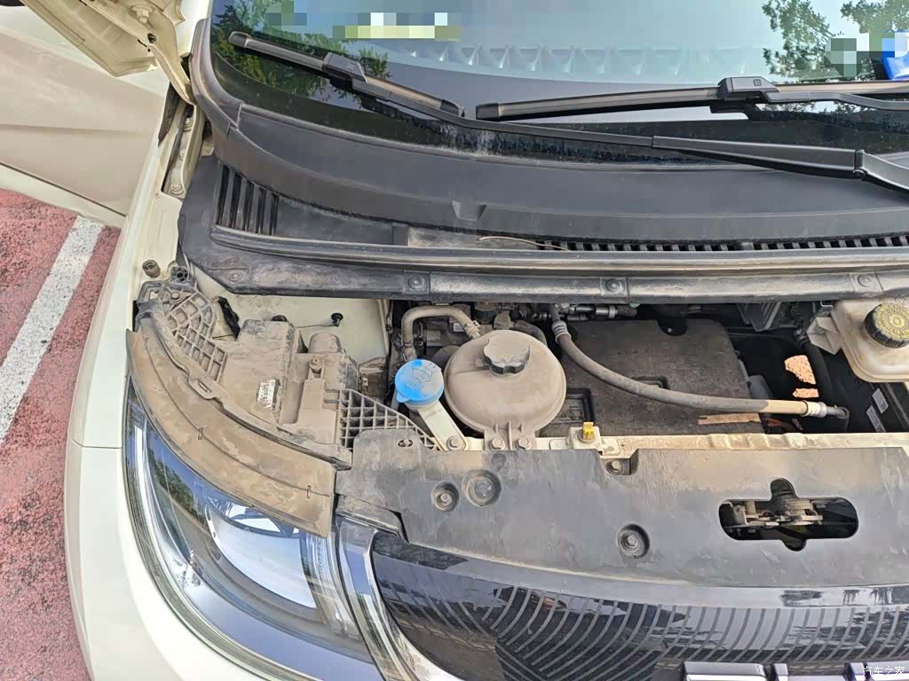BYD Dolphin, 2024 21