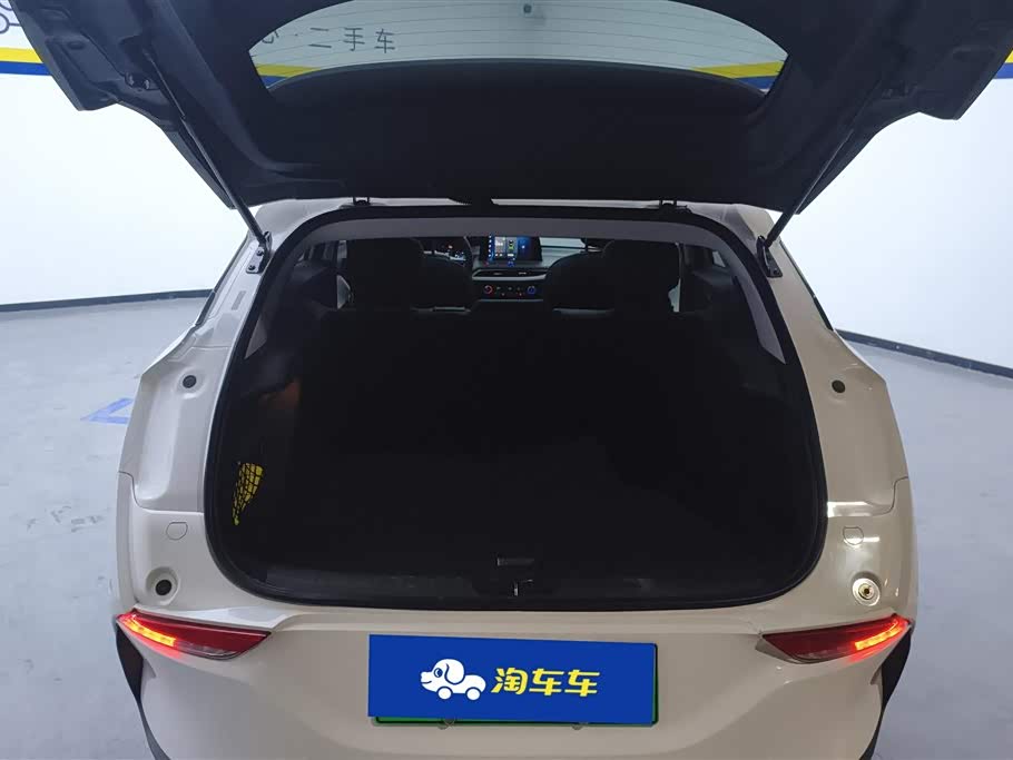 Buick Slightly blue 6