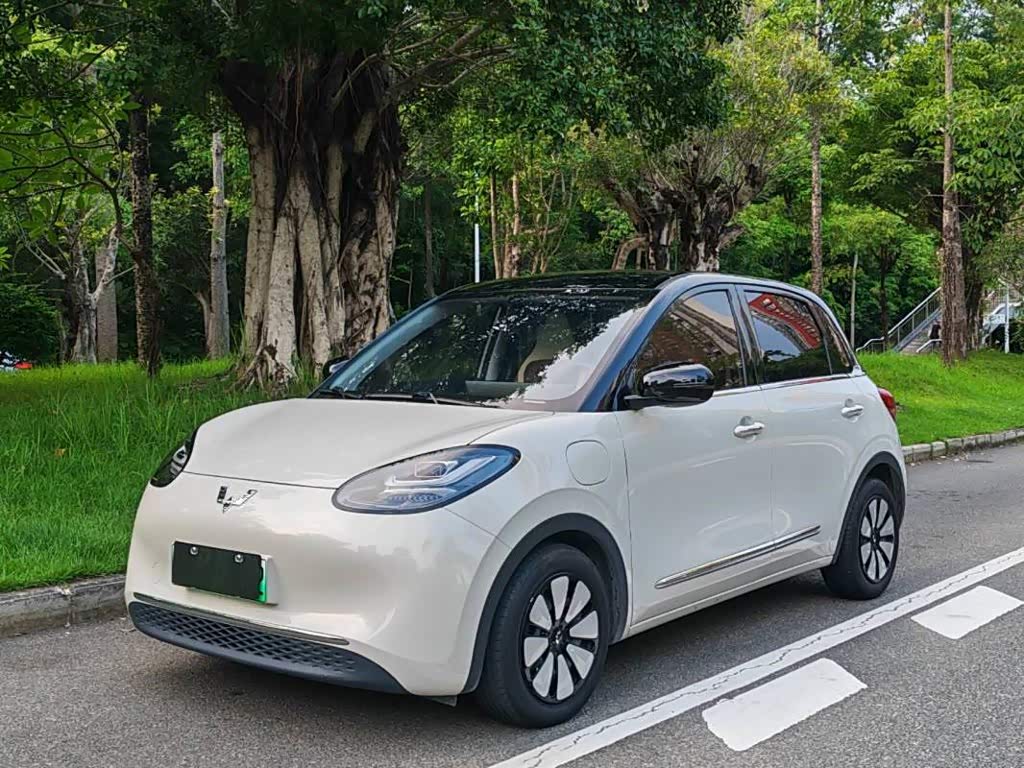 Wuling Binguo