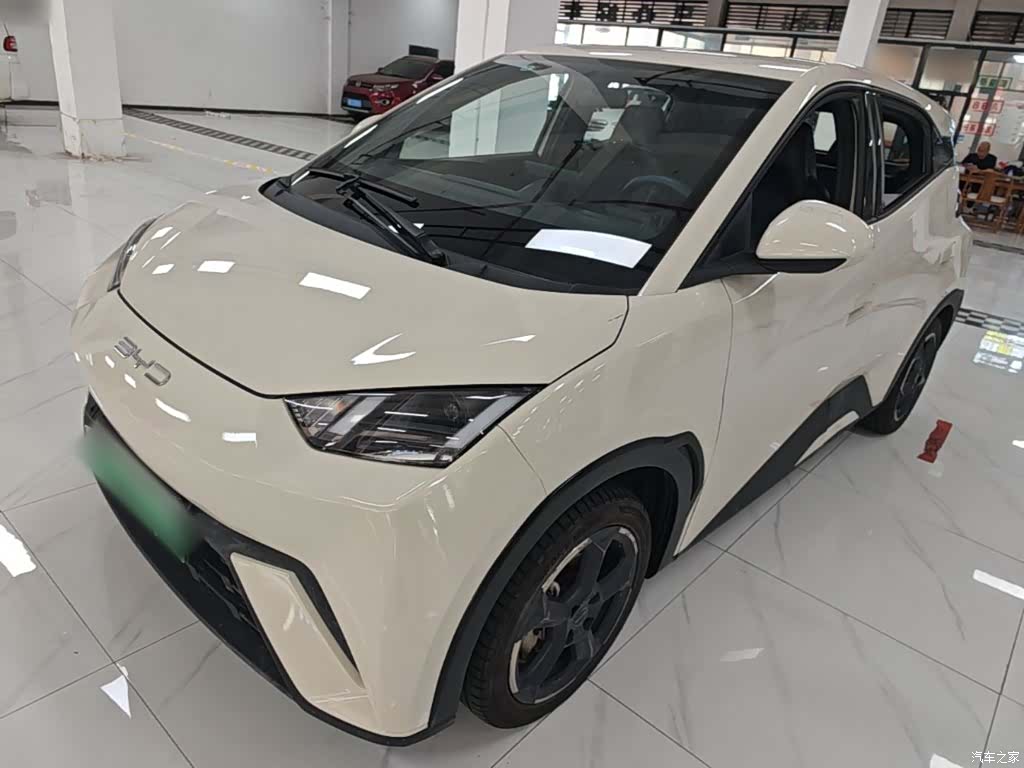 BYD Seagull, 2024 1