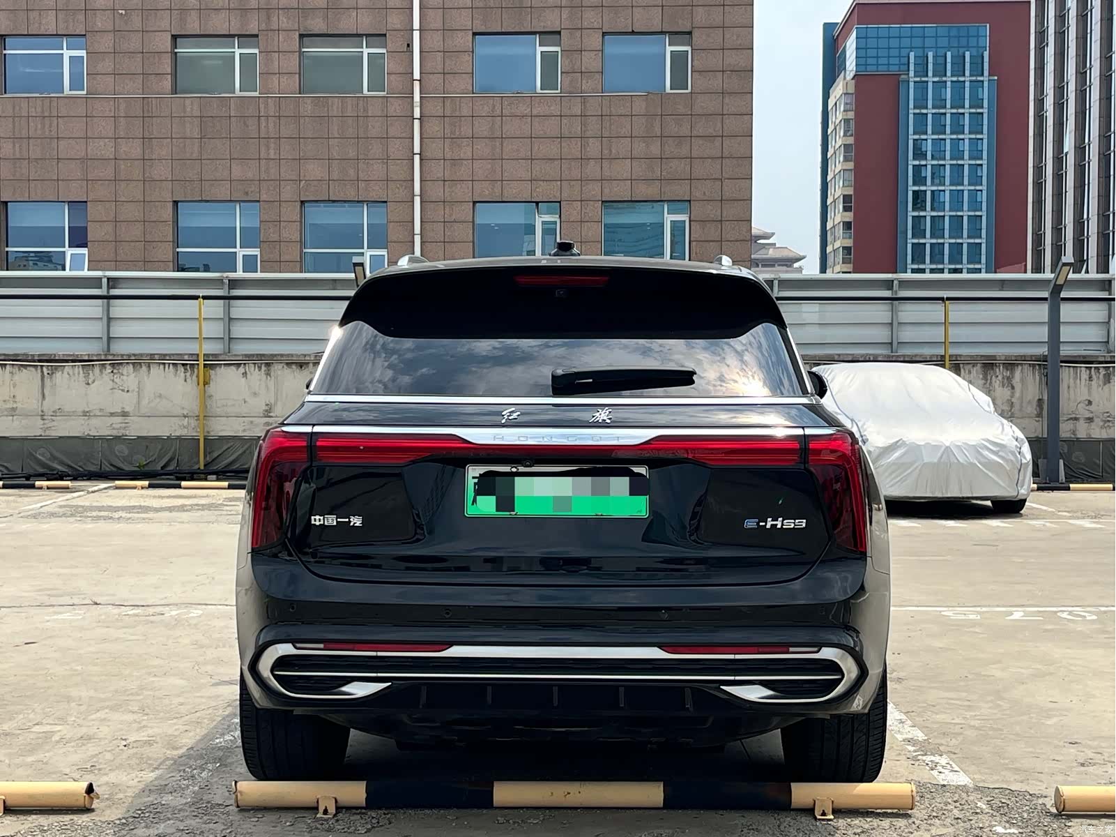 Hongqi E-HS9, 2022 все фото