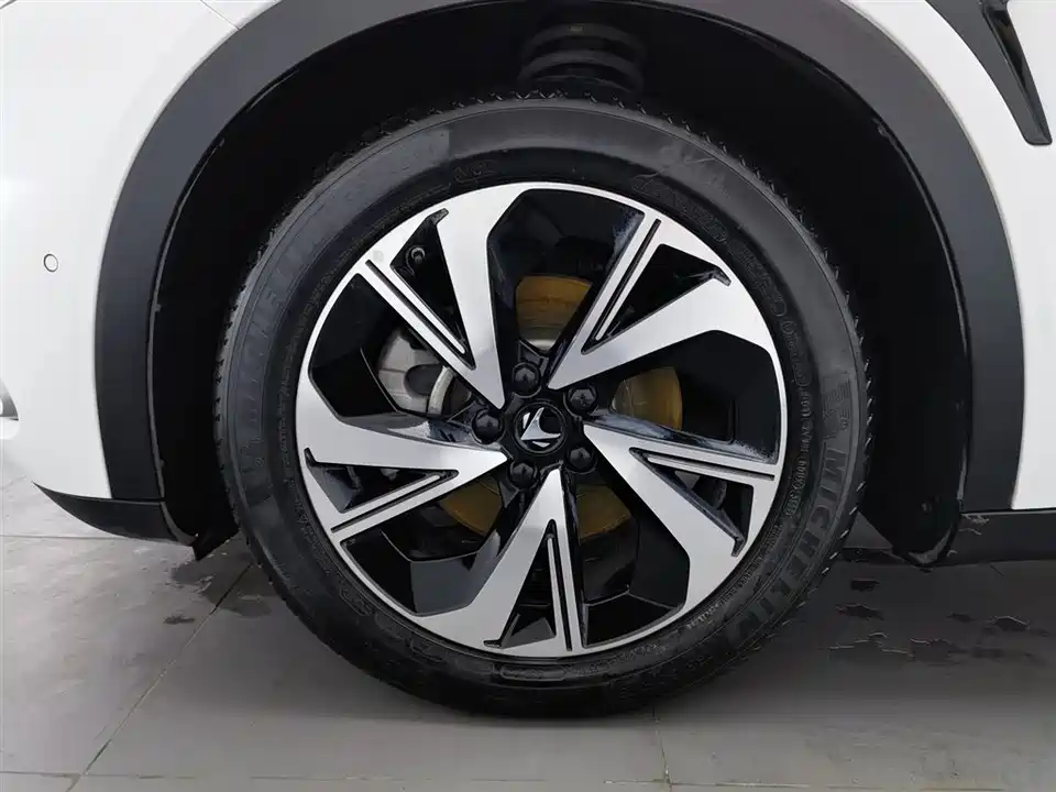 ARCFOX Polar Fox Alpha S